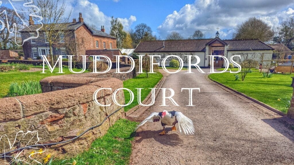 Muddifords Court Estate