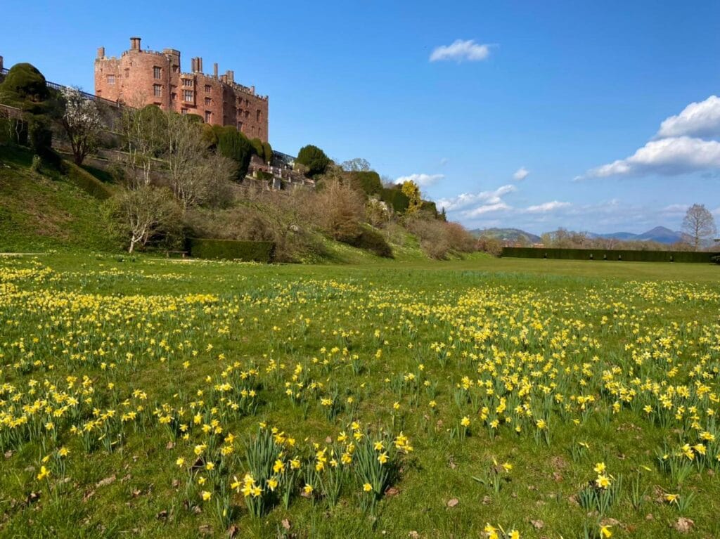 Powis Castle Showfield