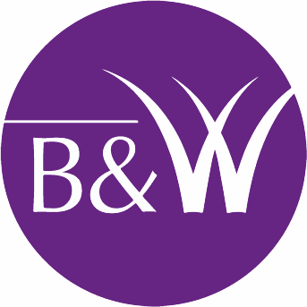 Rock N Ribs Festival 2026