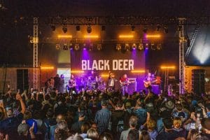 black deer in the city scaled