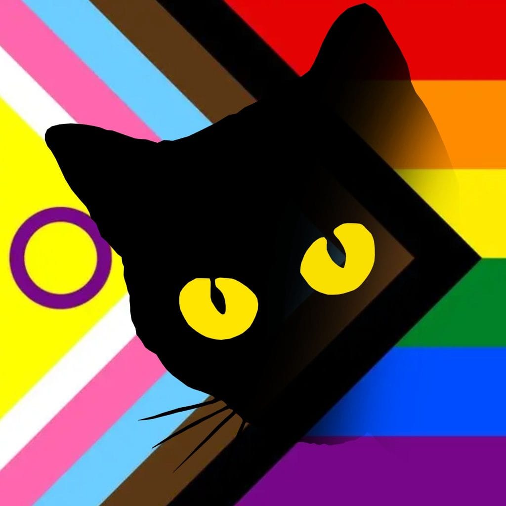Black Cat, Bridgend