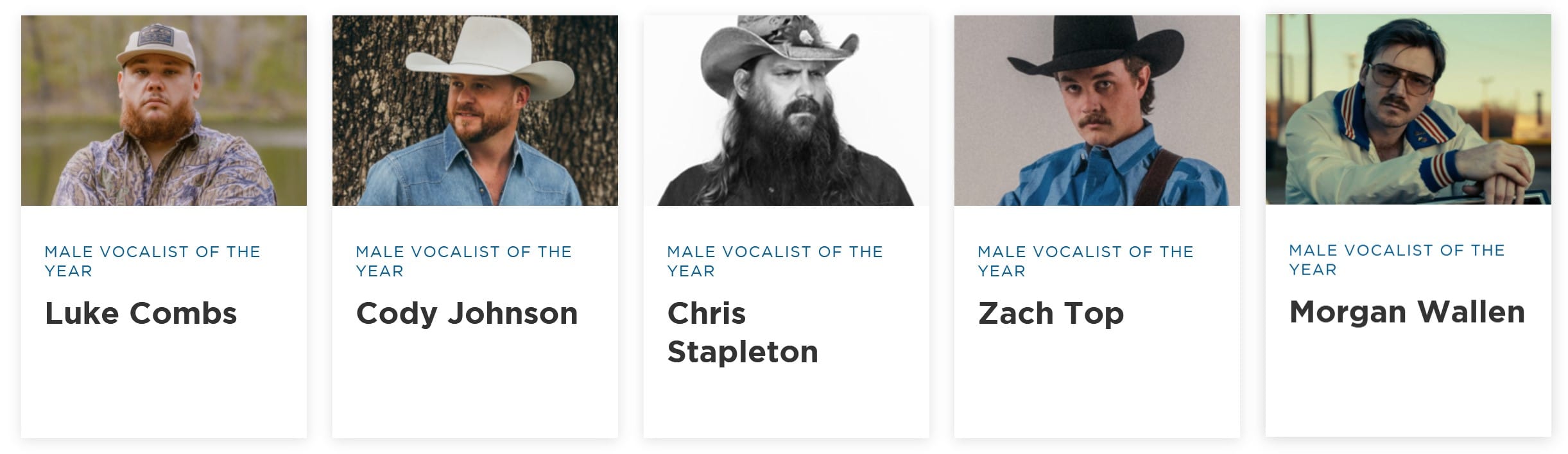 Male Vocalist of the Year